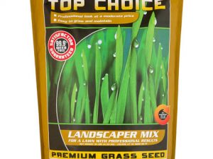 LANDSCAPER - 10 LBS